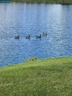 $1,595,000 | 4059 West Lakeshore Drive, San Ramon, CA 94582