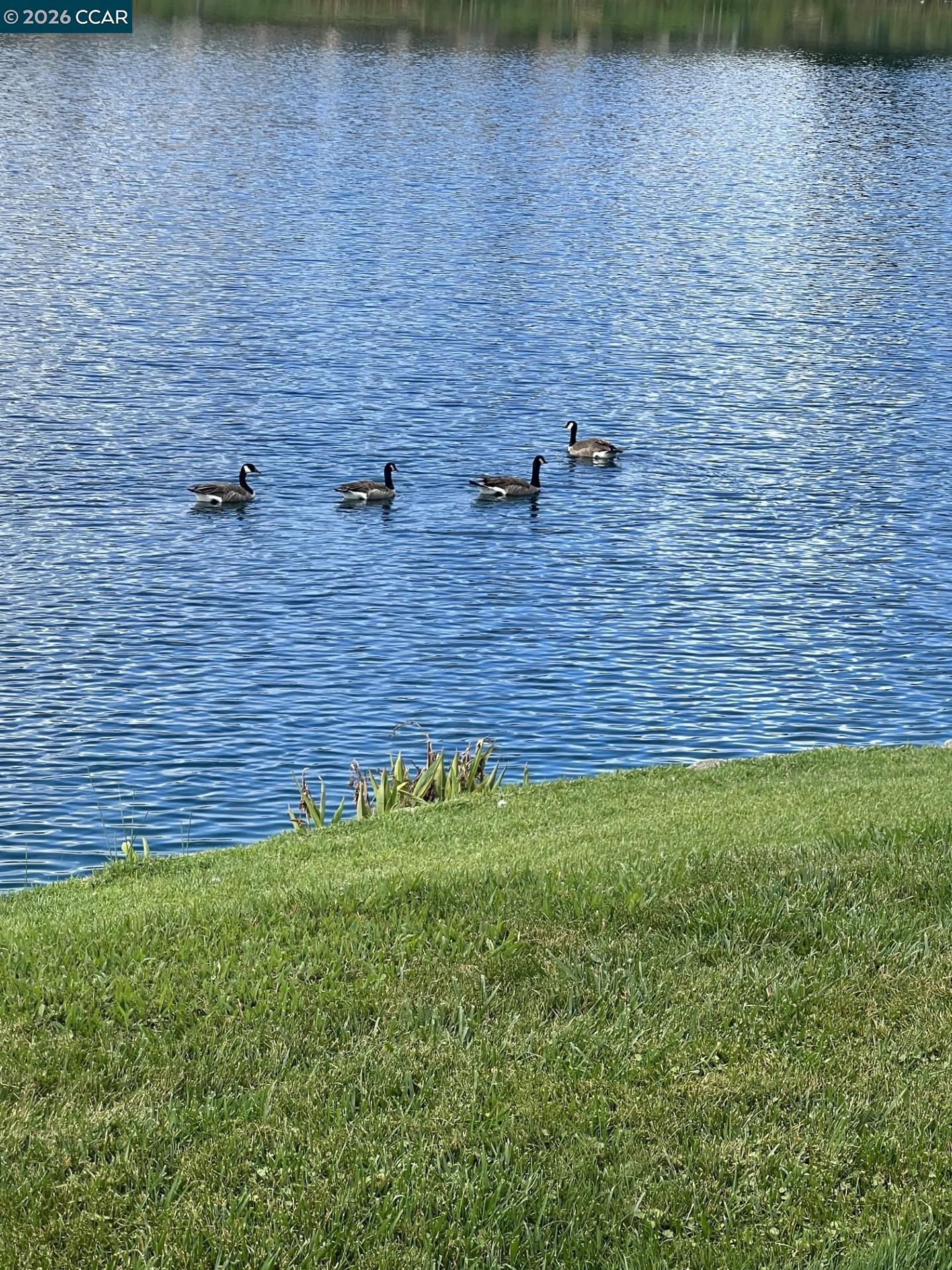 4059 West Lakeshore Drive San Ramon, CA 94582 - Photo 43 of 47