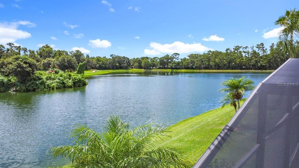 955 Lake Berkley Drive Kissimmee, FL 34746 - Photo 45 of 57