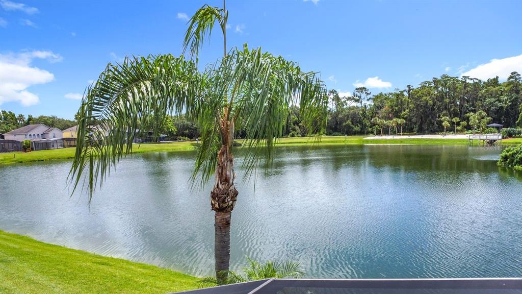 955 Lake Berkley Drive Kissimmee, FL 34746 - Photo 46 of 57 a view of a lake with a big yard