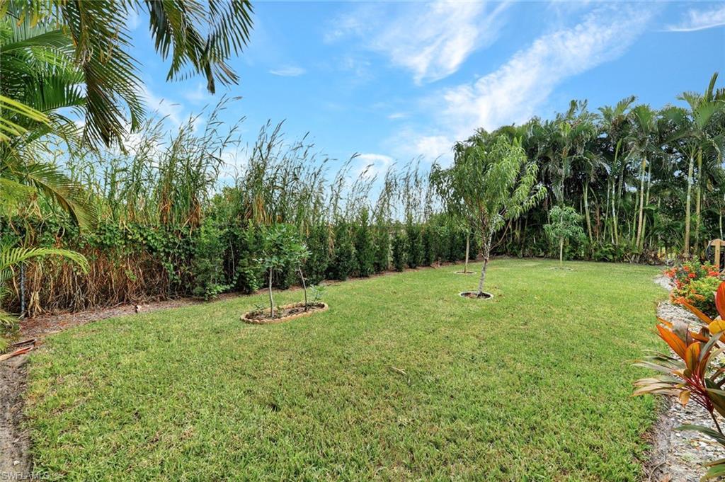 15645 Beachcomber Avenue Fort Myers, FL 33908 - Photo 33 of 33 a backyard of a house with lots of green space