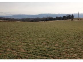 3400 Old Stage Road Chuckey, TN 37641 - Photo 1 of 16 Spectacular Mountain Views