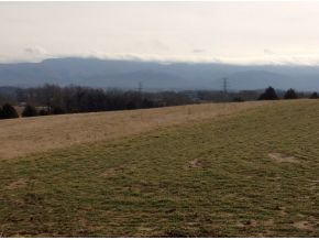 3400 Old Stage Road Chuckey, TN 37641 - Photo 6 of 16 Photo 6