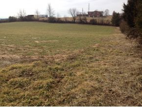 3400 Old Stage Road Chuckey, TN 37641 - Photo 8 of 16 Photo 8