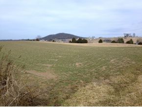 3400 Old Stage Road Chuckey, TN 37641 - Photo 10 of 16 Photo 10