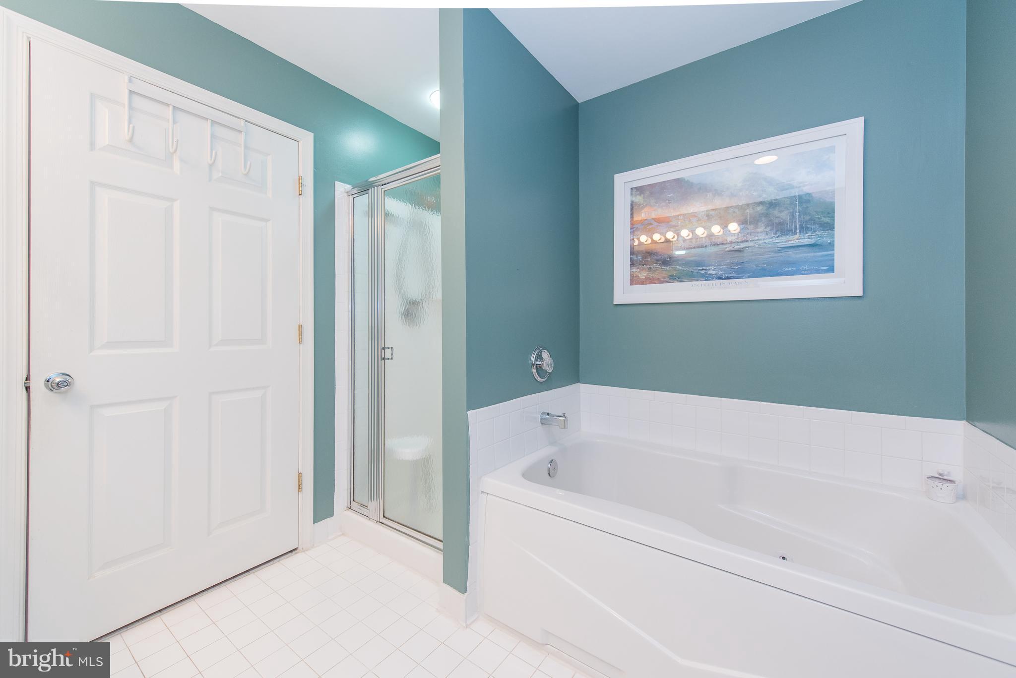 4700 Coyle Road, Unit 106 Owings Mills, MD 21117 - Photo 22 of 30 Bath (Master)