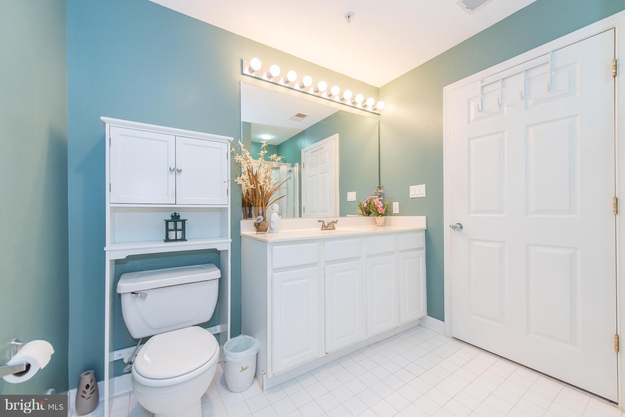 4700 Coyle Road, Unit 106 Owings Mills, MD 21117 - Photo 23 of 30 Bath (Master)