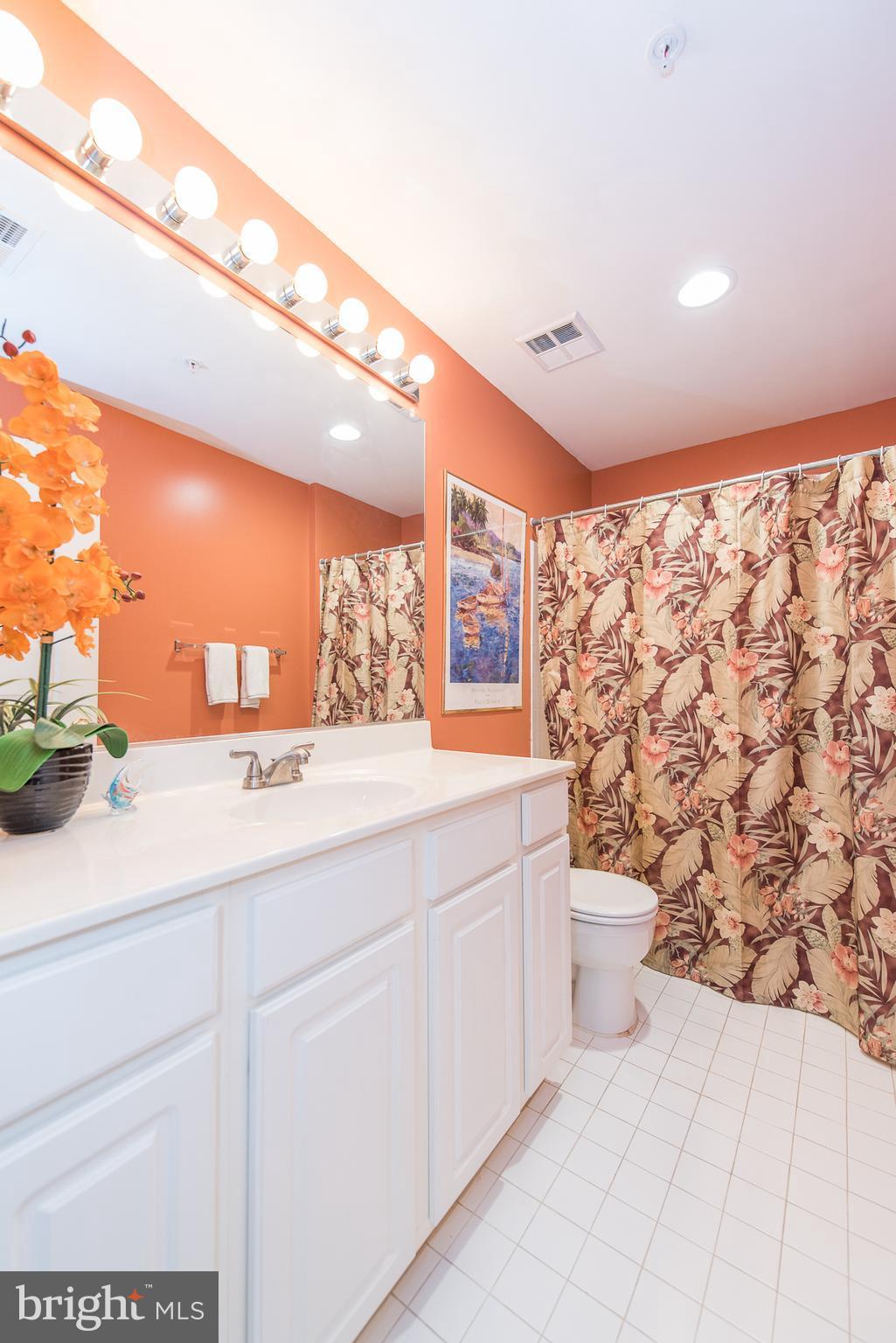 4700 Coyle Road, Unit 106 Owings Mills, MD 21117 - Photo 29 of 30 Bath