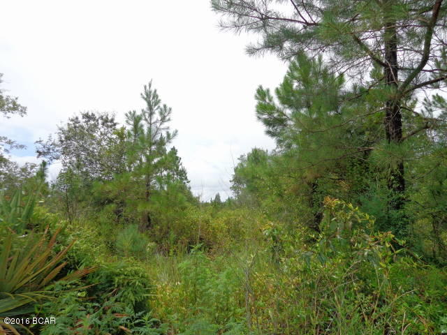 0 Northwest Pawnee Road, Unit LOT 6 Fountain, FL 32438 - Photo 3 of 10 Gallery Image 3