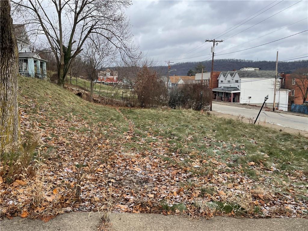 701 Thompson Avenue Donora, PA 15033 - Photo 5 of 36 a house view with a backyard space