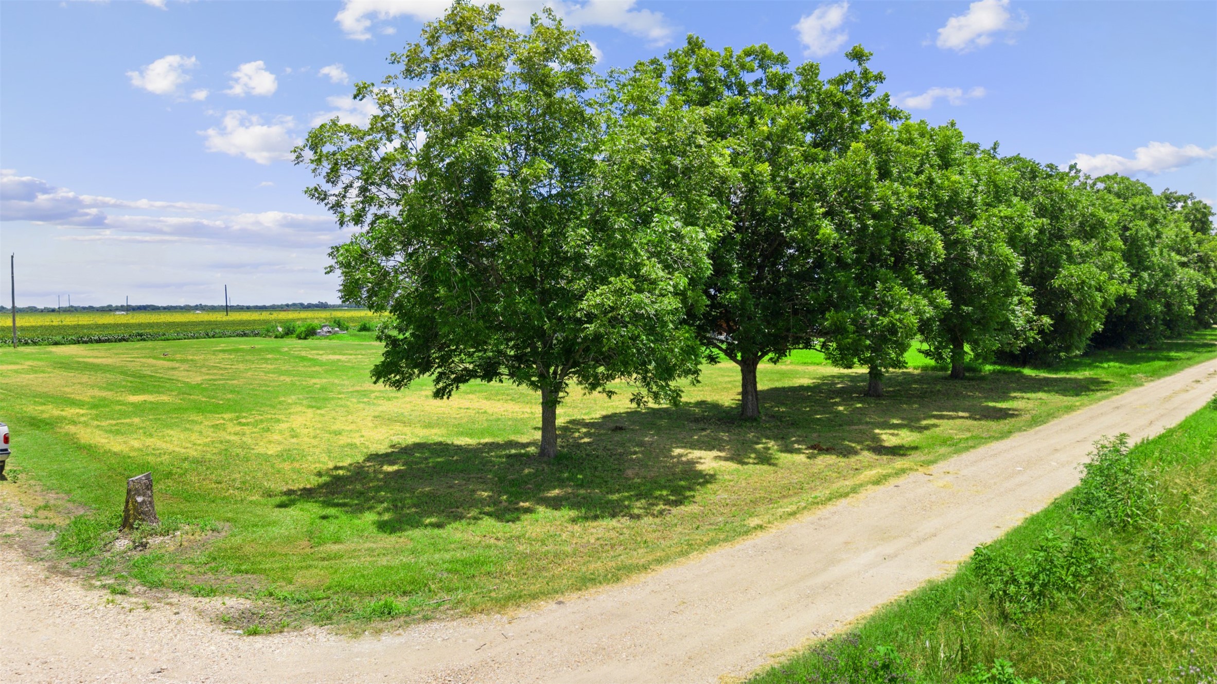 17420 Penwood Road East Bernard, TX 77435 - Photo 1 of 23