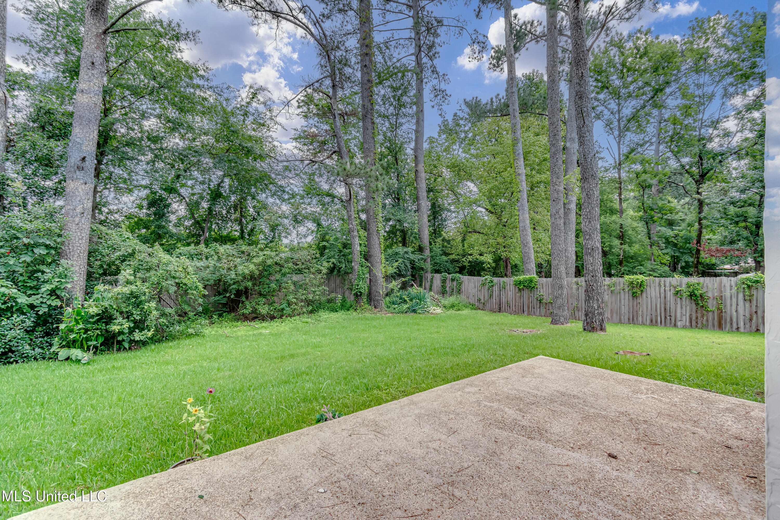 112 Plum Tree Road Brandon, MS 39047 - Photo 15 of 38 112 Plum Tree-15