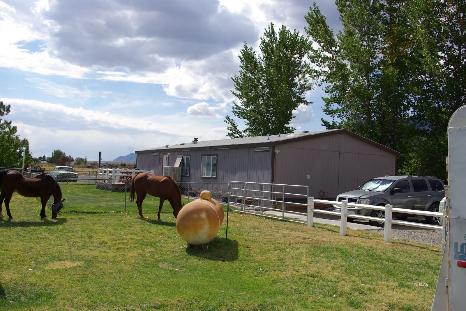 451 Manley Ranch Road Round Mountain, NV 89045 - Photo 35 of 39