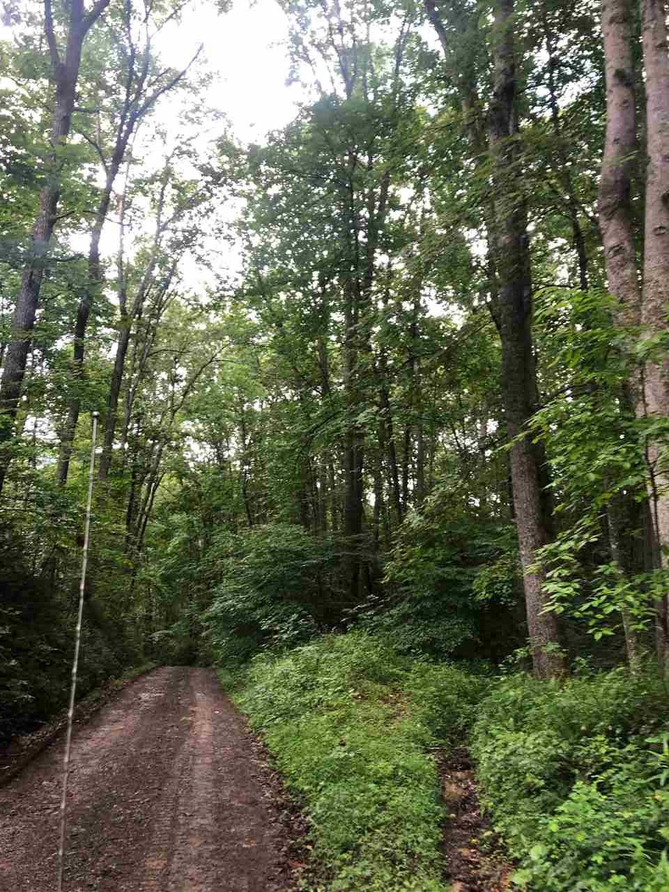 0 Camp Road Lewisburg, WV 24901 - Photo 11 of 13 Gallery Image 11