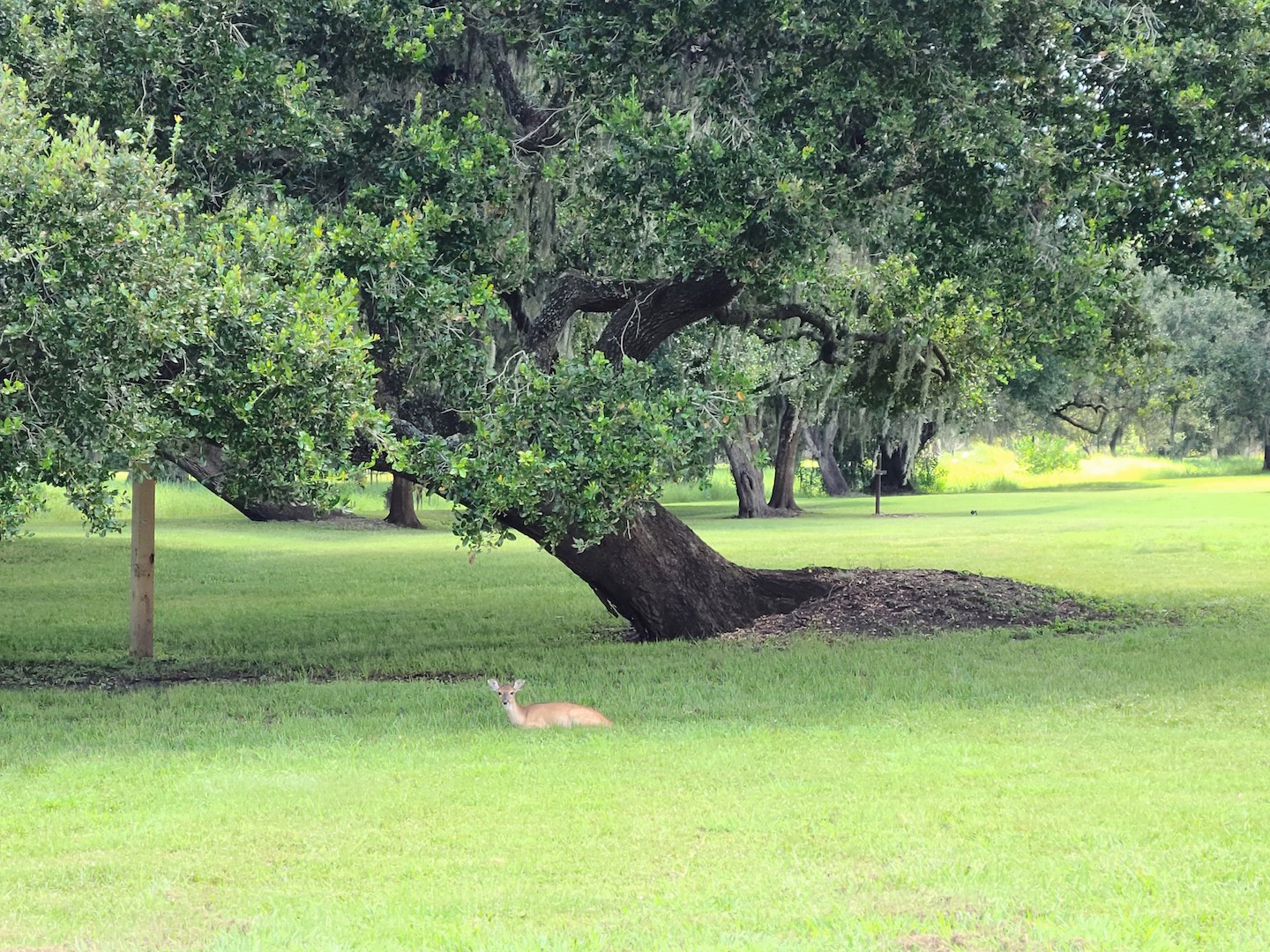 Lot 16 Wrangler Bend Angleton, TX 77515 - Photo 20 of 20