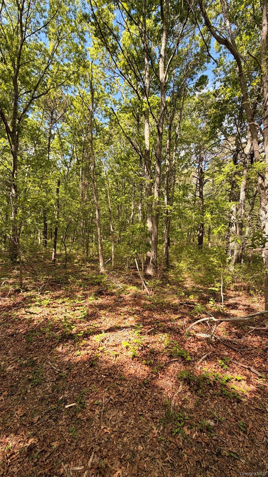 30 Bellhaven Road Bellport, NY 11713 - Photo 2 of 3 lot location