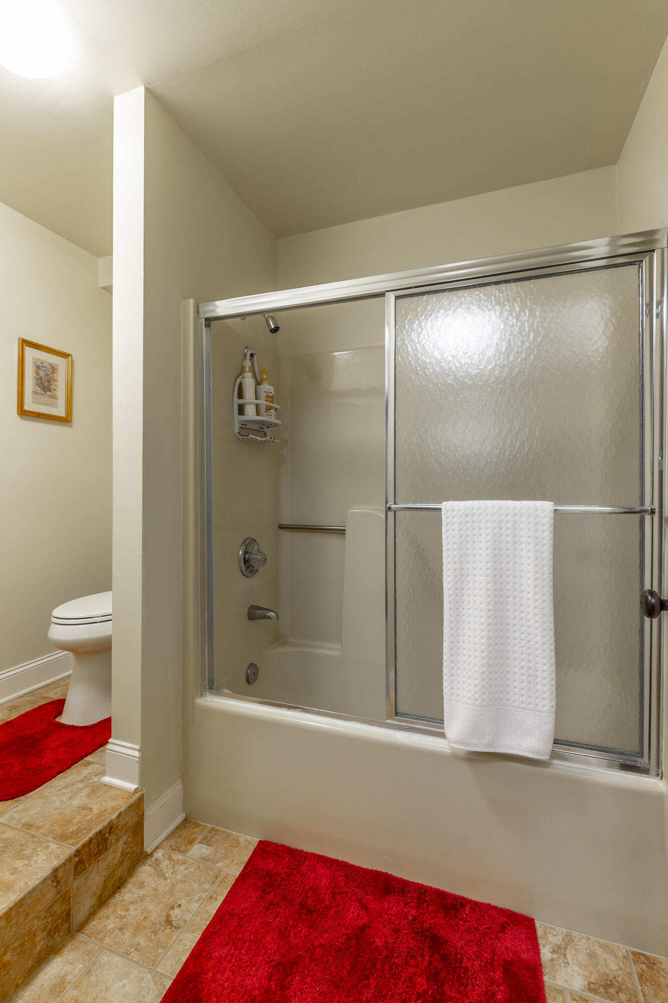 10245 Snow Hill Road Ooltewah, TN 37363 - Photo 48 of 76 10245 Snow Hill Road HD-56