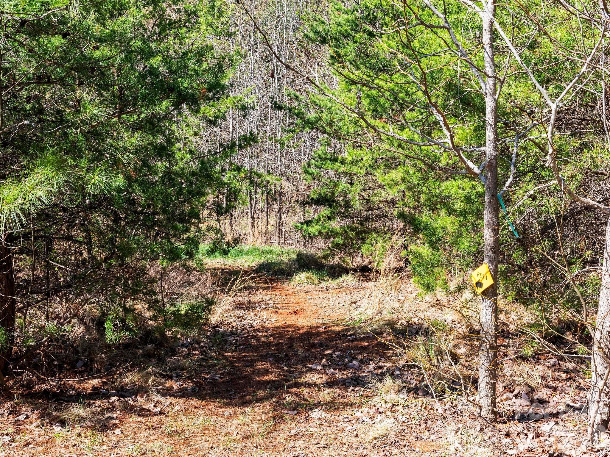25 Preservation Trail Tryon, NC 28782 - Photo 31 of 42