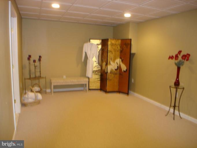 3376 Sumantown Road Middletown, MD 21769 - Photo 25 of 30 Room outside steam spa