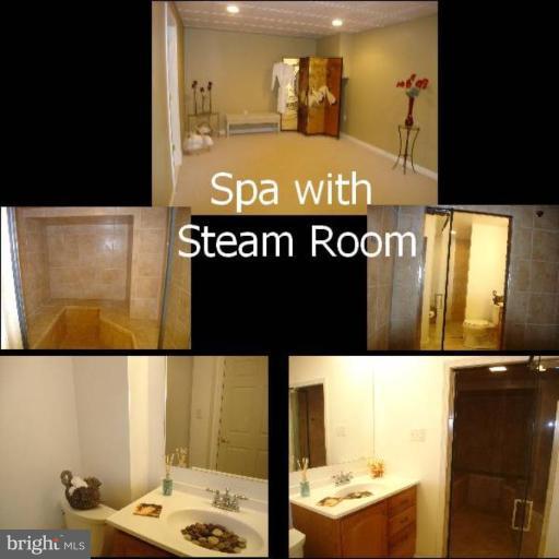 3376 Sumantown Road Middletown, MD 21769 - Photo 28 of 30 Spa with Steam Room