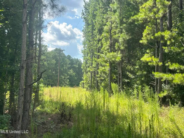 $70,000 | 18 Highway Rose Hill, Rose Hill, MS 39356