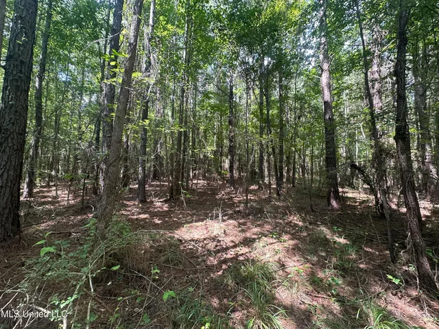 $70,000 | 18 Highway Rose Hill, Rose Hill, MS 39356