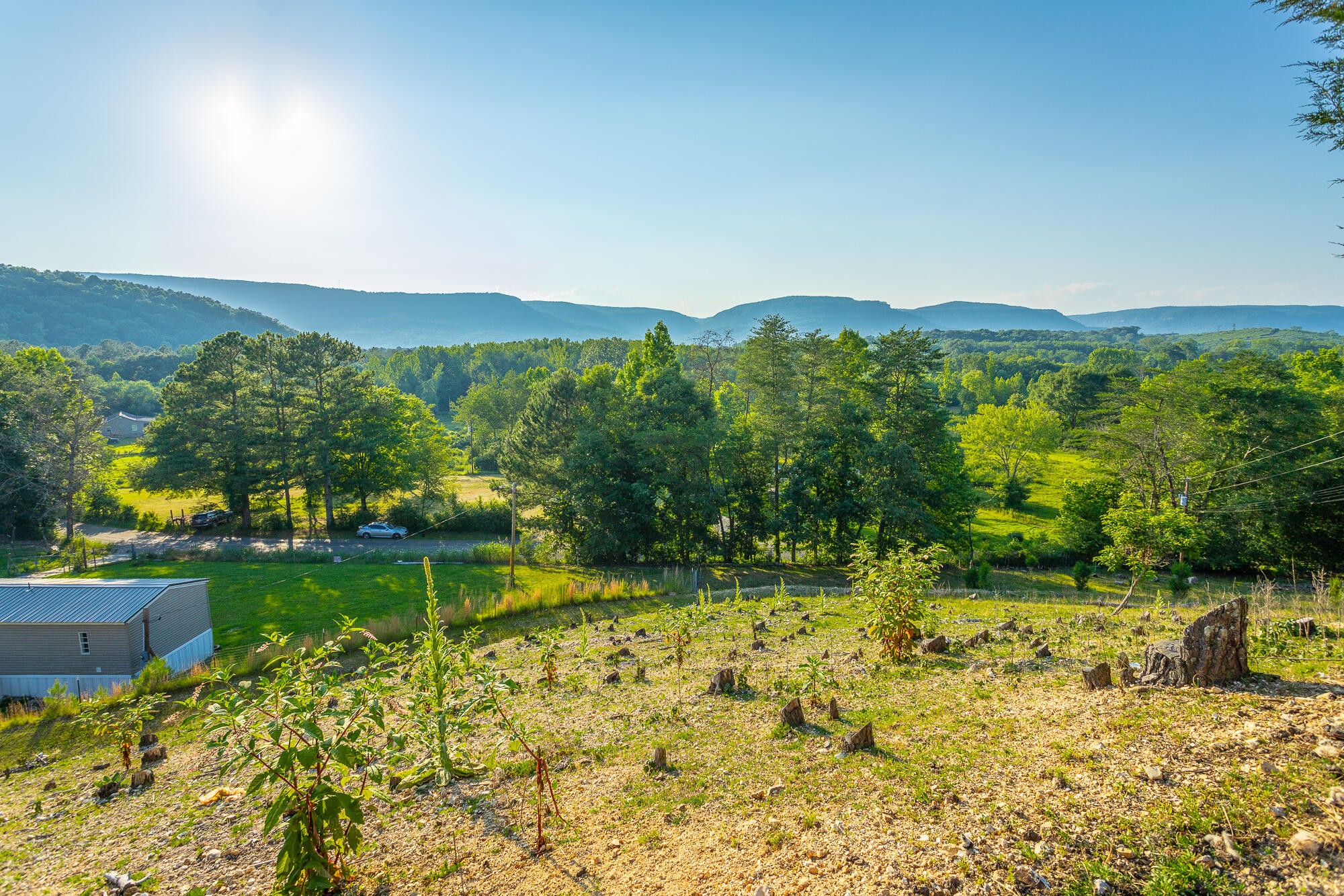 1240 Goose Pond Road Whitwell, TN 37397 - Photo 5 of 100 Gallery Image 5