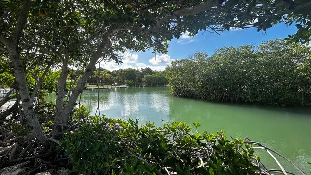 a view of a park with swings