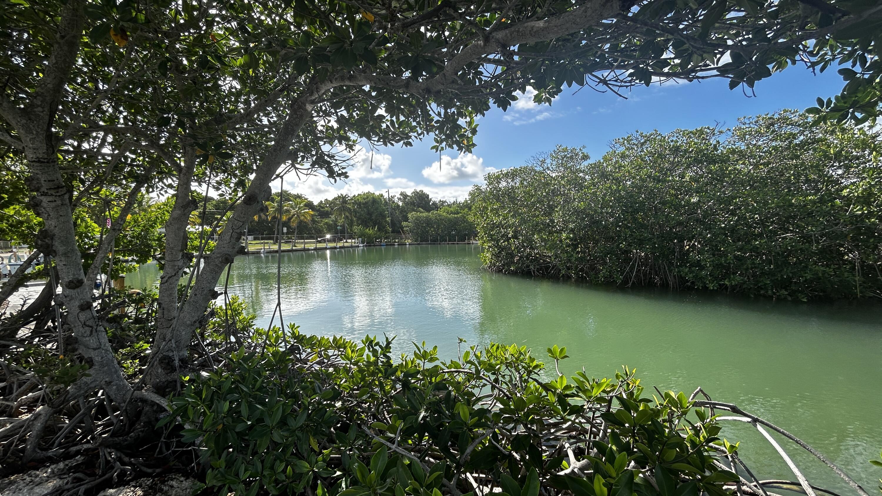 124 South Bay Harbor Drive Key Largo, FL 33037 - Photo 35 of 43 a body of water with a tree in the background
