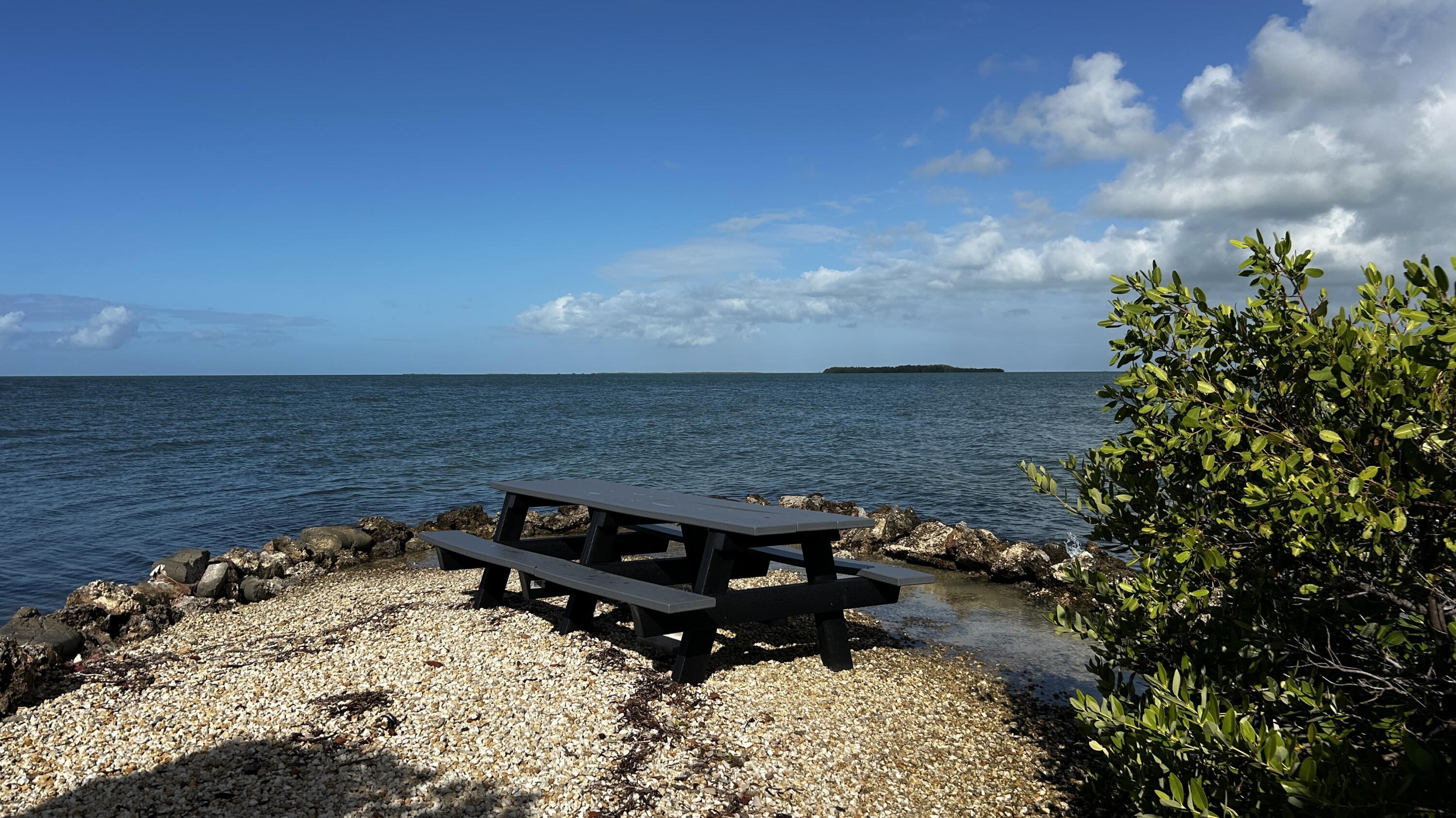 124 South Bay Harbor Drive Key Largo, FL 33037 - Photo 37 of 43 a view of a wooden floor with a yard