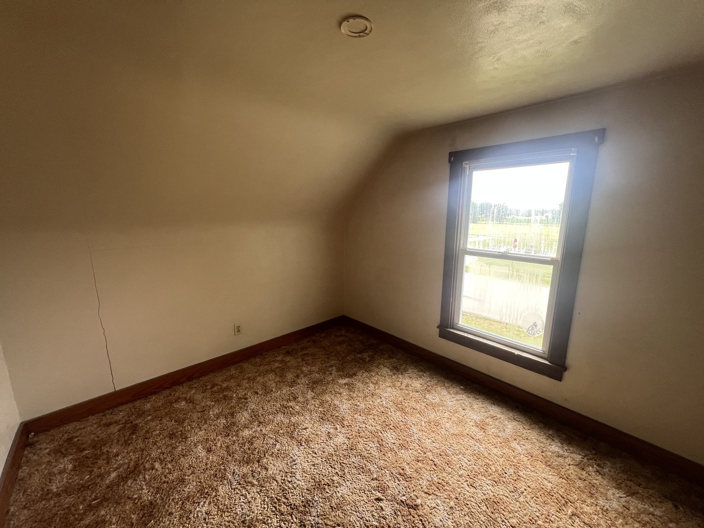 314 South Locust Street Wyanet, IL 61379 - Photo 14 of 17