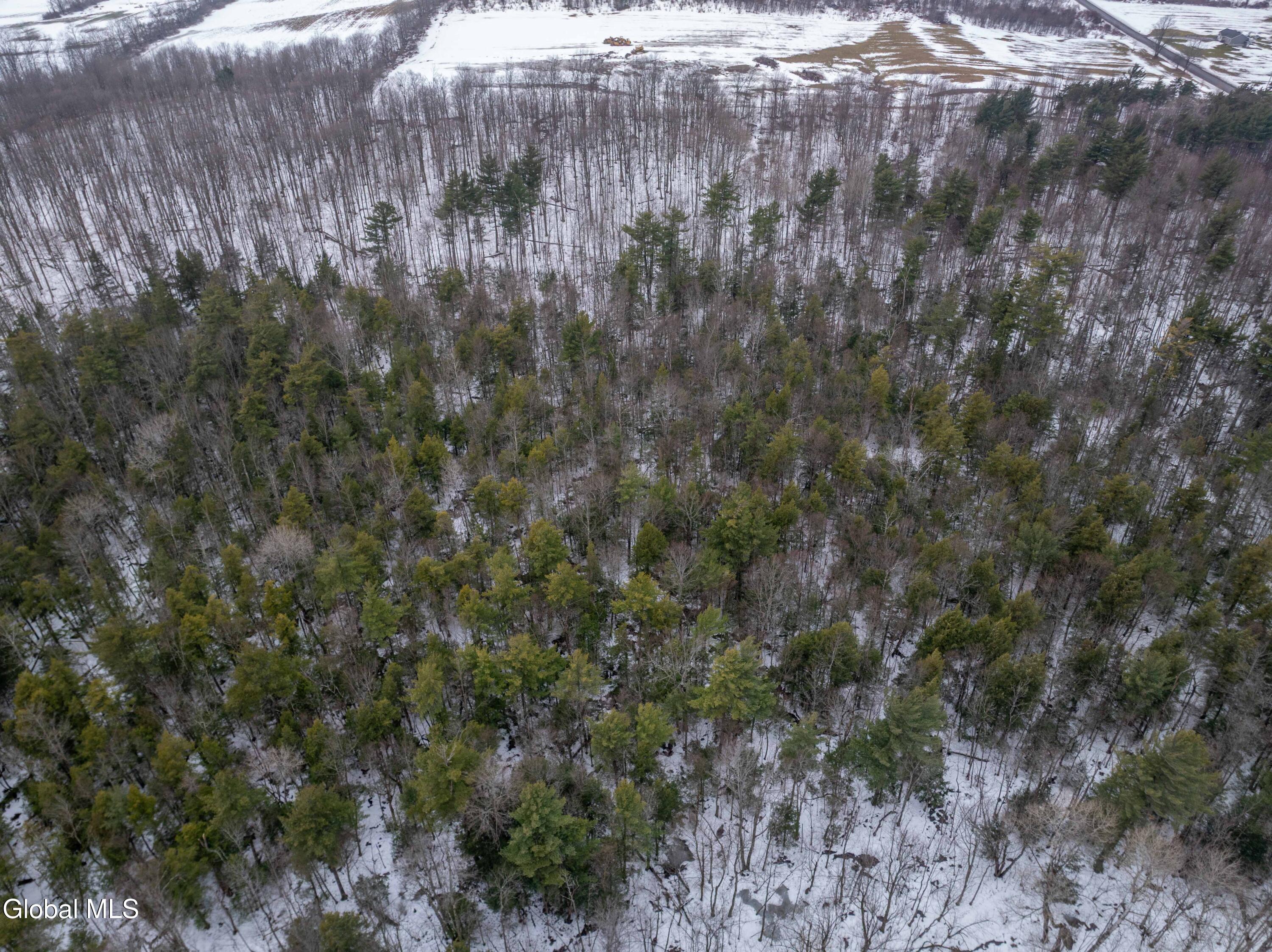 L1 Bear Swamp Road Chittenango, NY 13037 - Photo 11 of 41 Bear Swamp Road, Cazenovia-31