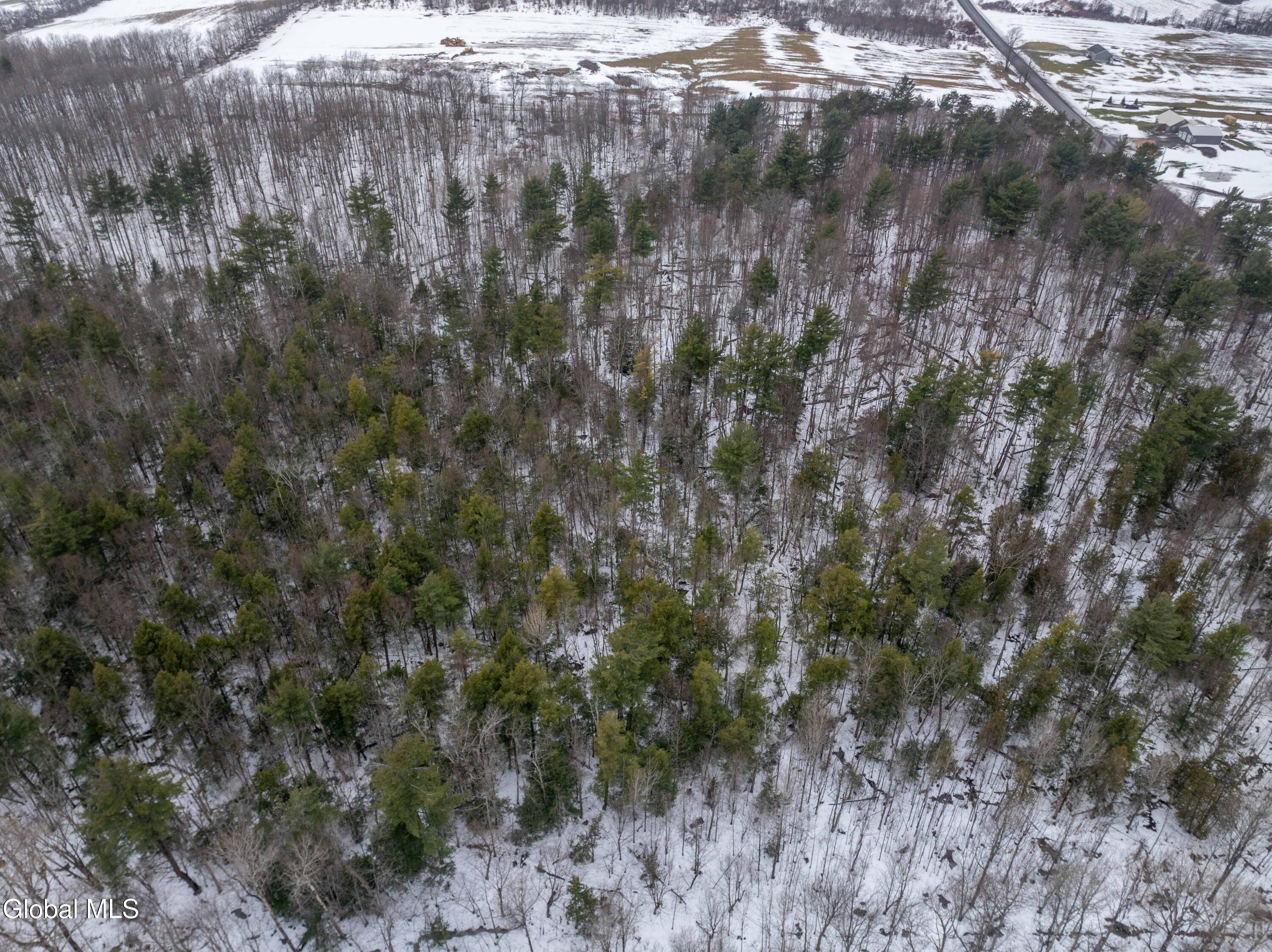 L1 Bear Swamp Road Chittenango, NY 13037 - Photo 12 of 41 Bear Swamp Road, Cazenovia-30