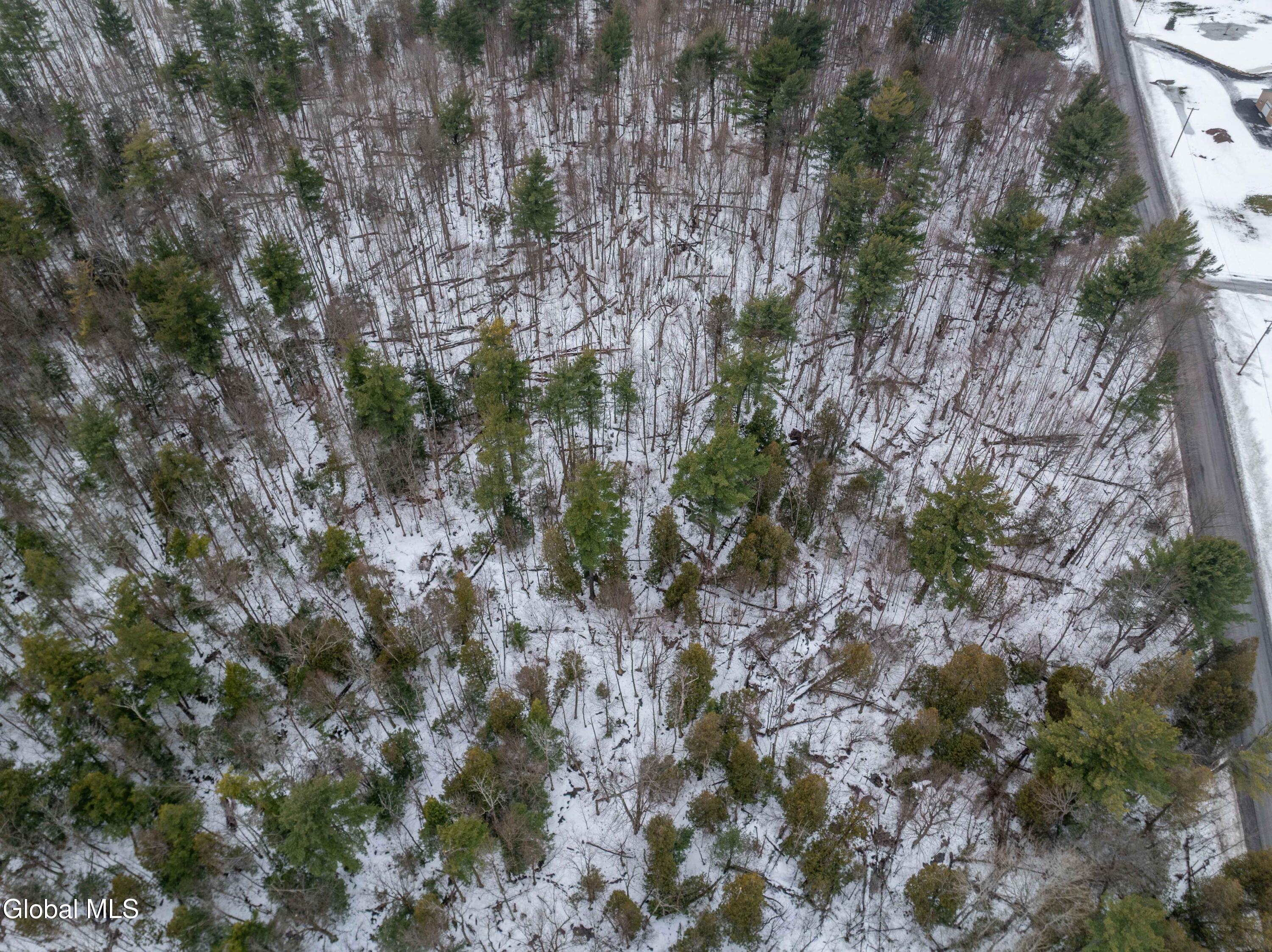 L1 Bear Swamp Road Chittenango, NY 13037 - Photo 13 of 41 Bear Swamp Road, Cazenovia-28