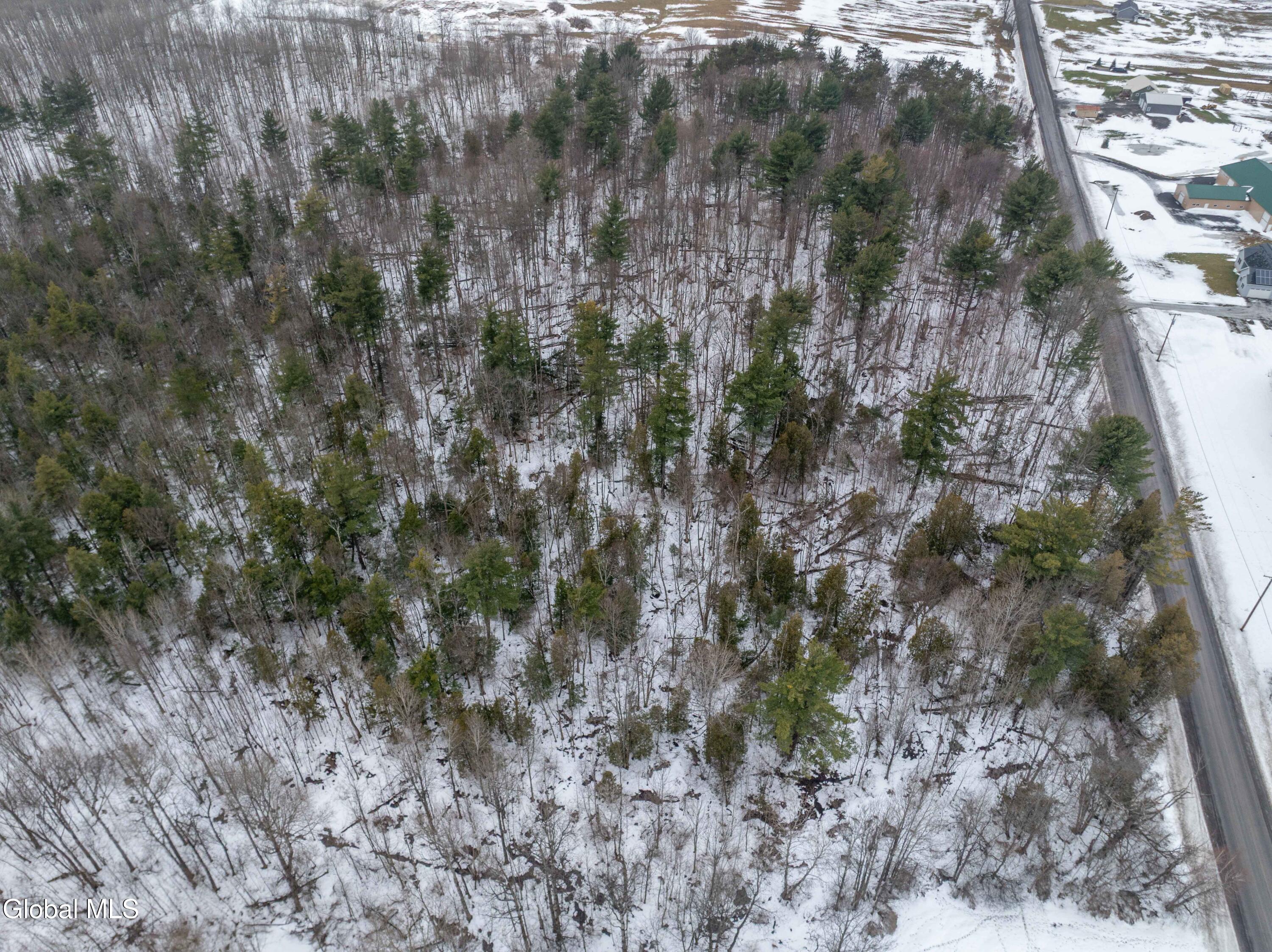 L1 Bear Swamp Road Chittenango, NY 13037 - Photo 14 of 41 Bear Swamp Road, Cazenovia-29