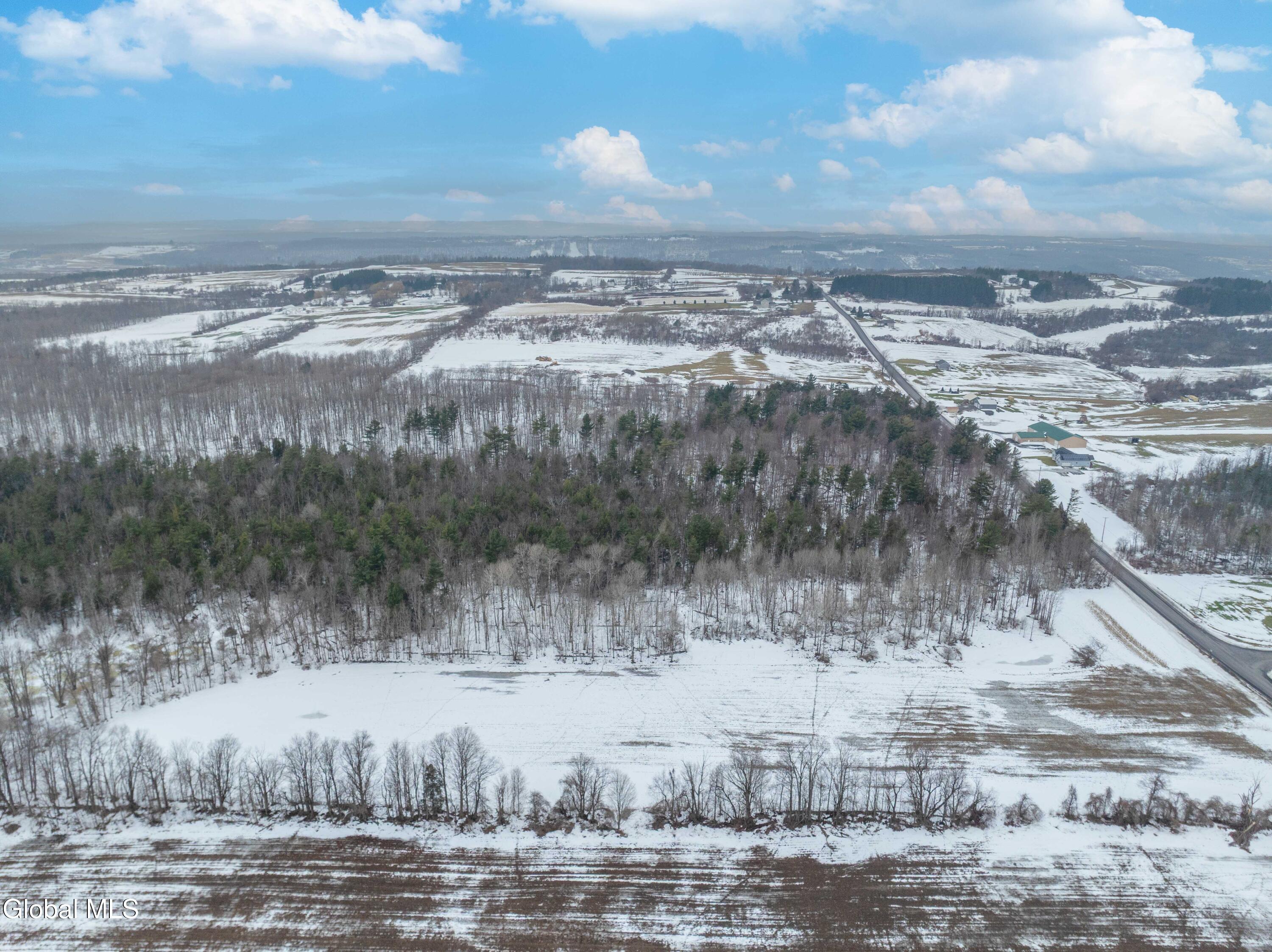 L1 Bear Swamp Road Chittenango, NY 13037 - Photo 17 of 41 Bear Swamp Road, Cazenovia-25