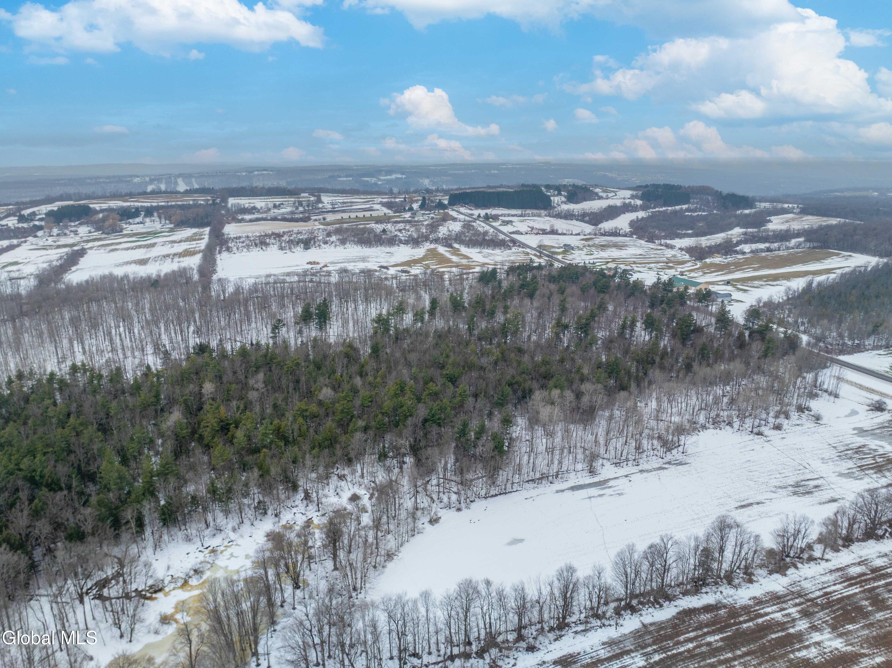 L1 Bear Swamp Road Chittenango, NY 13037 - Photo 18 of 41 Bear Swamp Road, Cazenovia-24