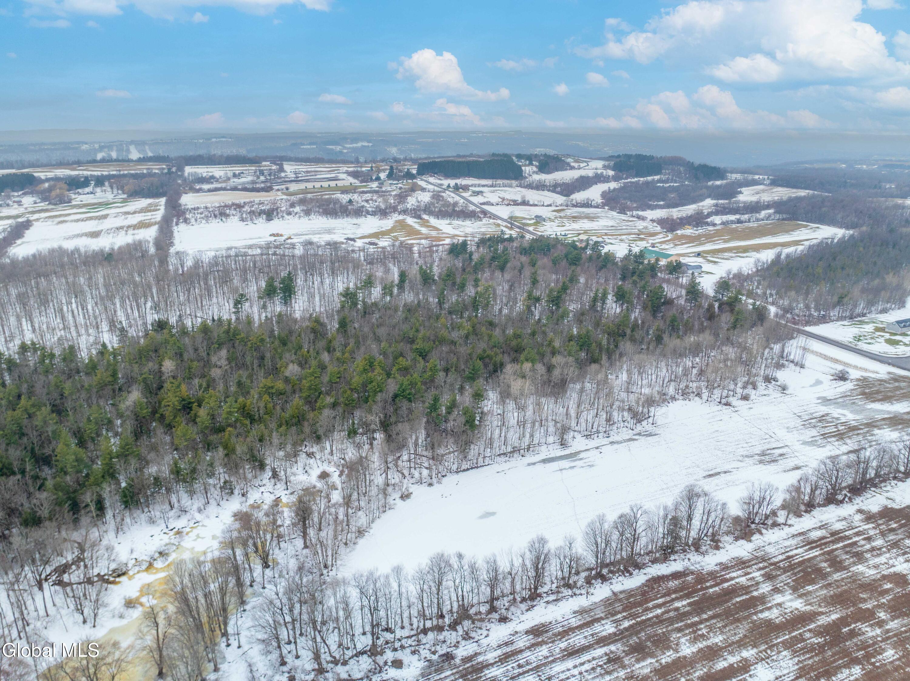 L1 Bear Swamp Road Chittenango, NY 13037 - Photo 20 of 41 Bear Swamp Road, Cazenovia-23