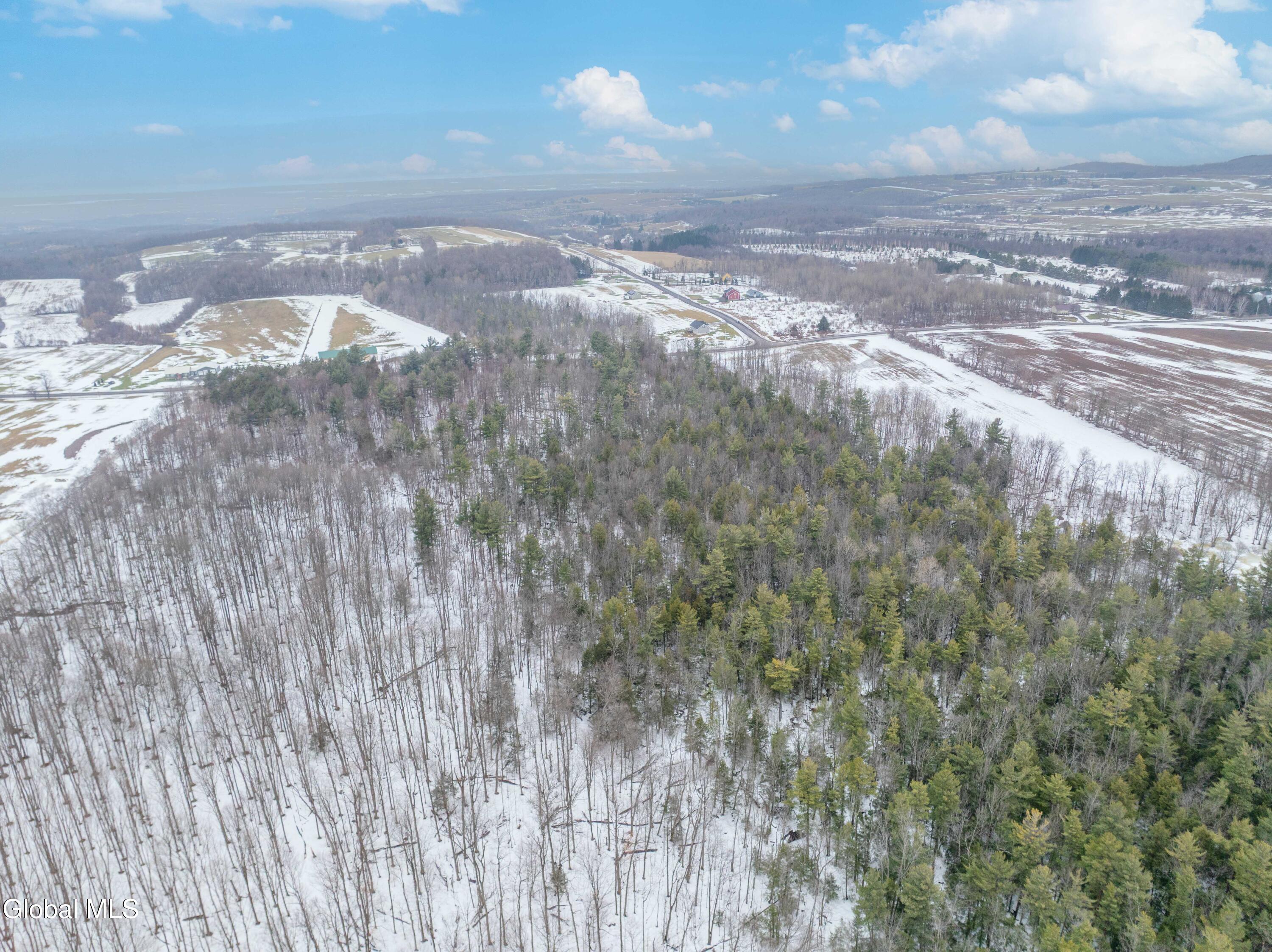 L1 Bear Swamp Road Chittenango, NY 13037 - Photo 21 of 41 Bear Swamp Road, Cazenovia-21