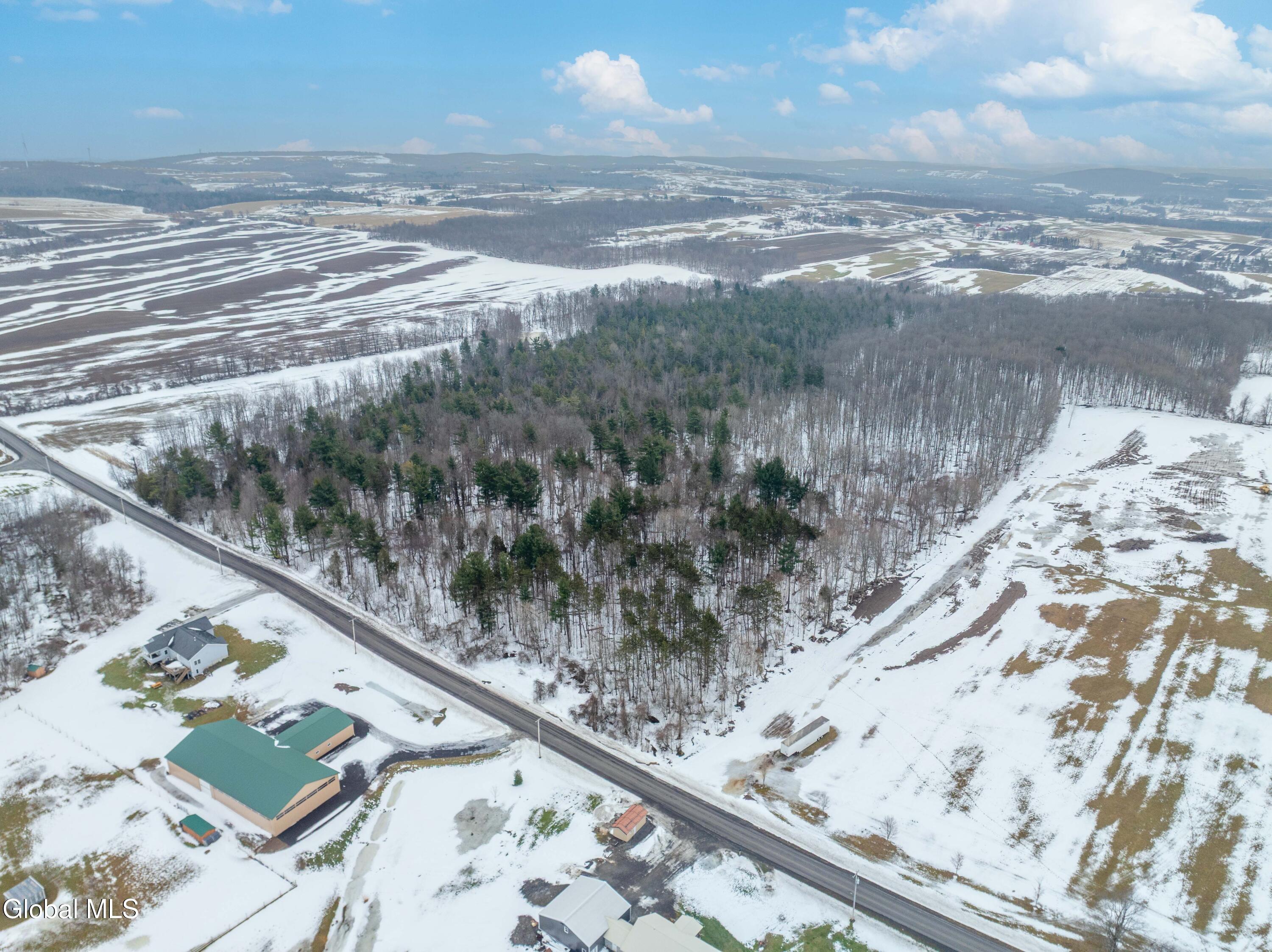 L1 Bear Swamp Road Chittenango, NY 13037 - Photo 25 of 41 Bear Swamp Road, Cazenovia-17