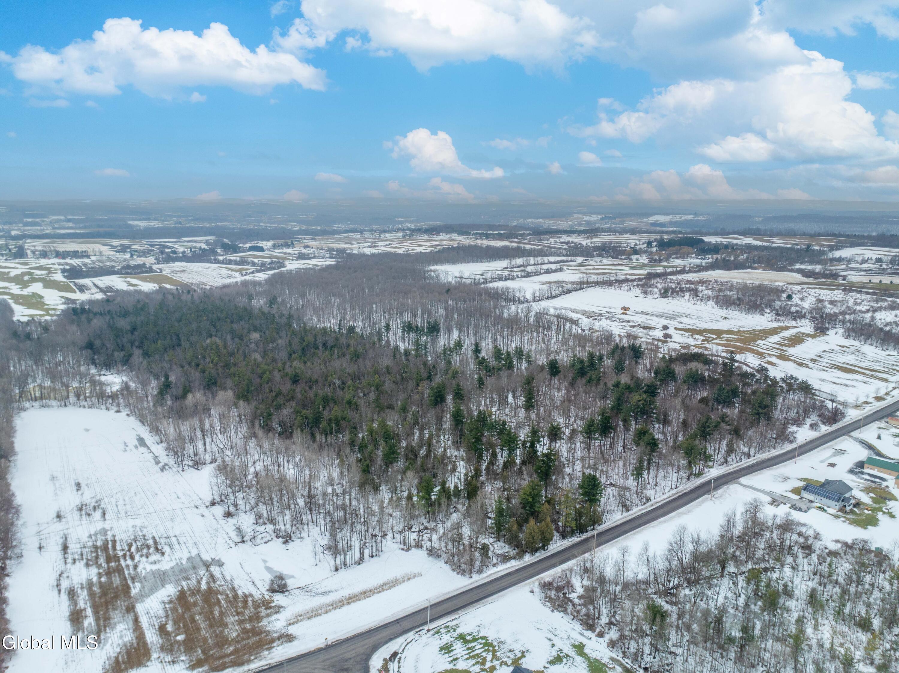 L1 Bear Swamp Road Chittenango, NY 13037 - Photo 28 of 41 Bear Swamp Road, Cazenovia-14