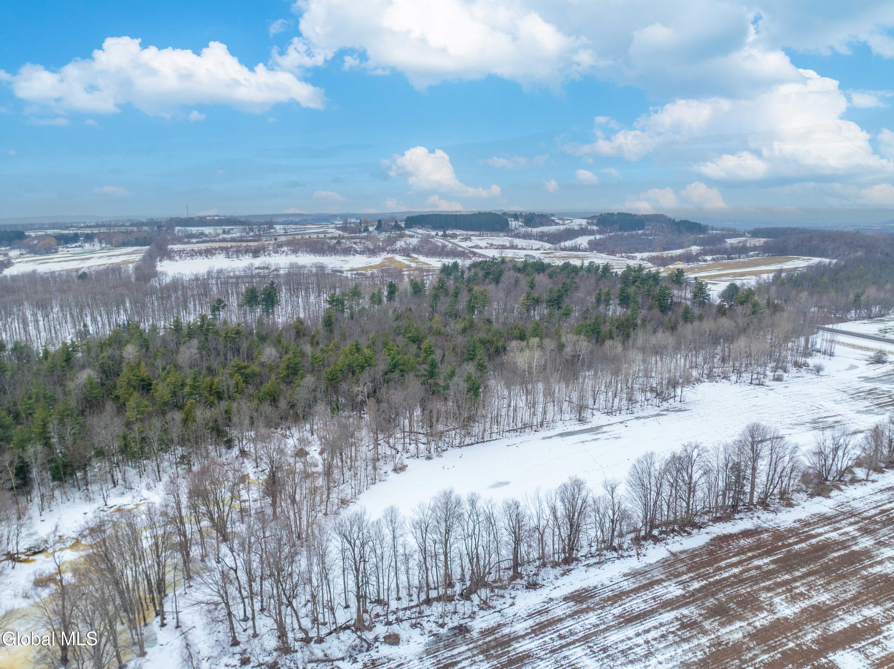 L1 Bear Swamp Road Chittenango, NY 13037 - Photo 31 of 41 Bear Swamp Road, Cazenovia-11