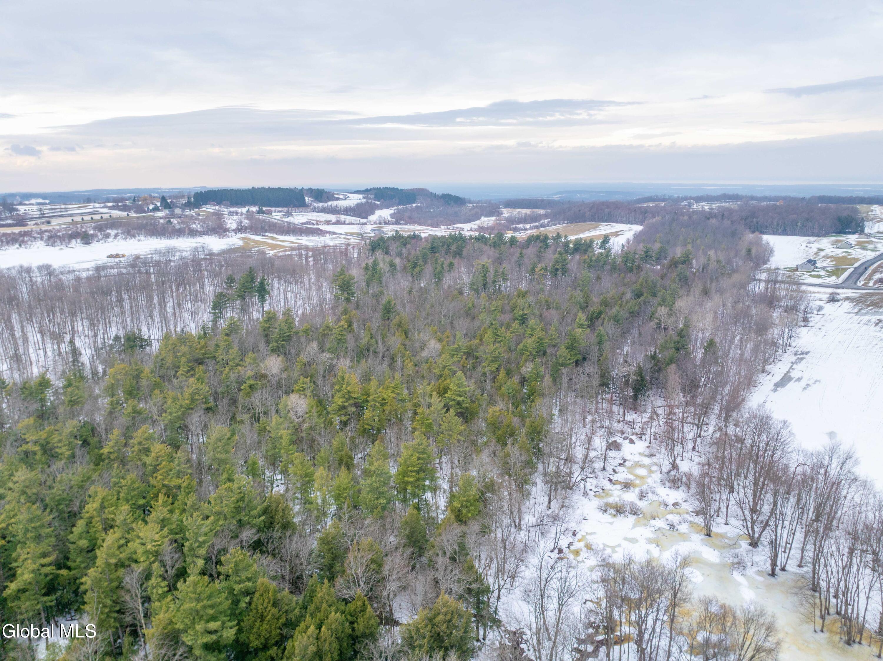L1 Bear Swamp Road Chittenango, NY 13037 - Photo 32 of 41 Bear Swamp Road, Cazenovia-10