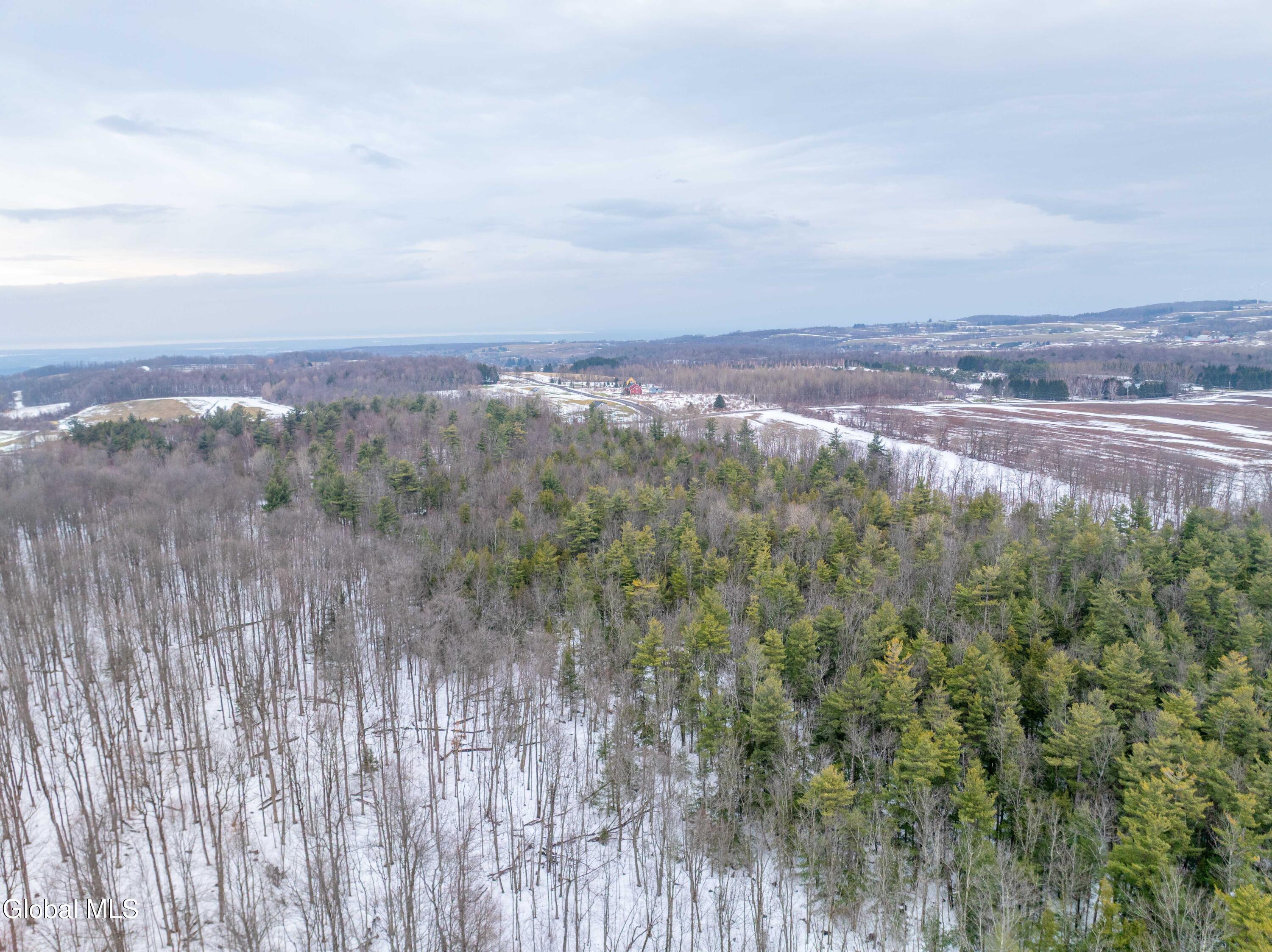 L1 Bear Swamp Road Chittenango, NY 13037 - Photo 33 of 41 Bear Swamp Road, Cazenovia-9