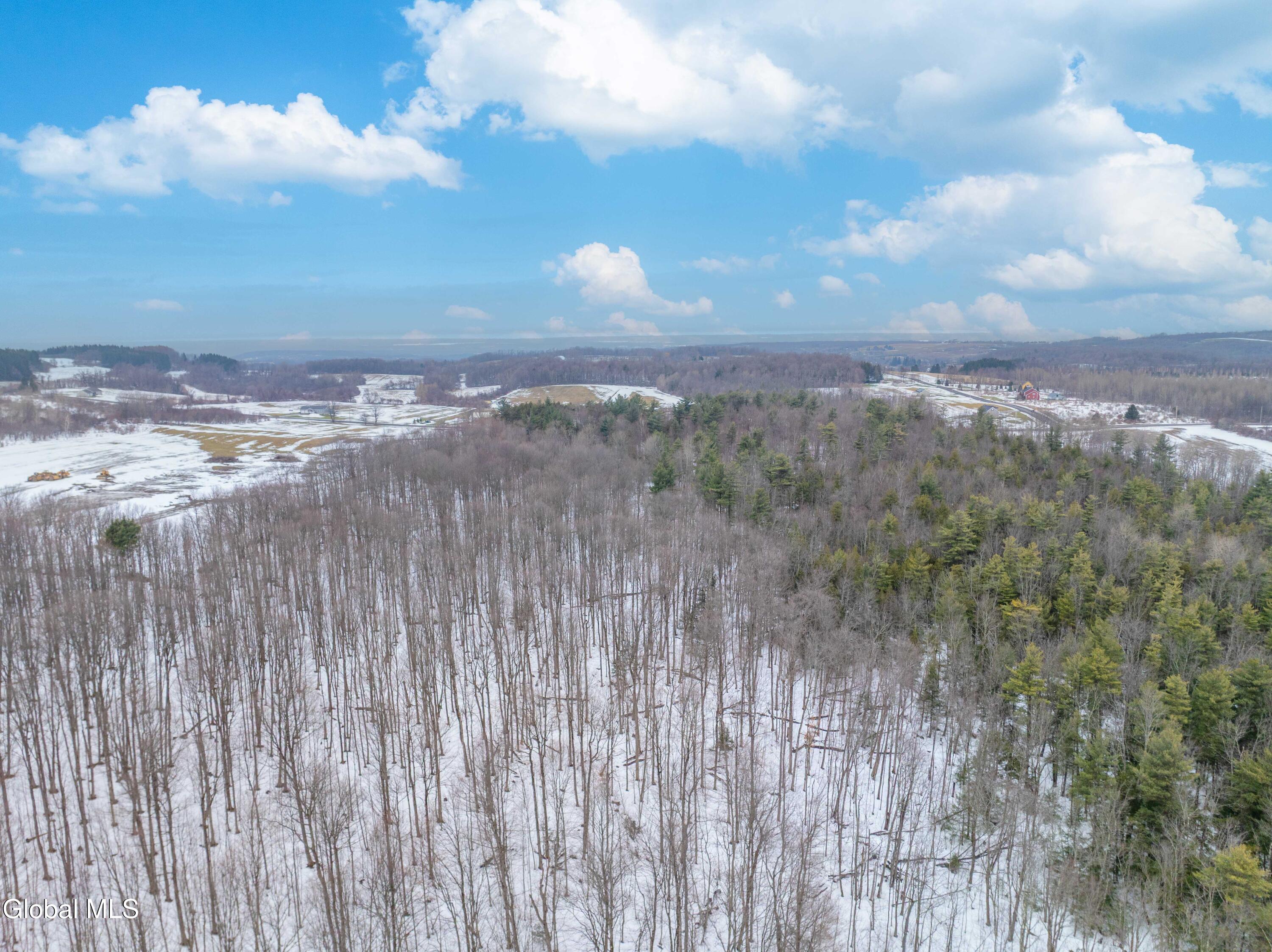 L1 Bear Swamp Road Chittenango, NY 13037 - Photo 34 of 41 Bear Swamp Road, Cazenovia-8