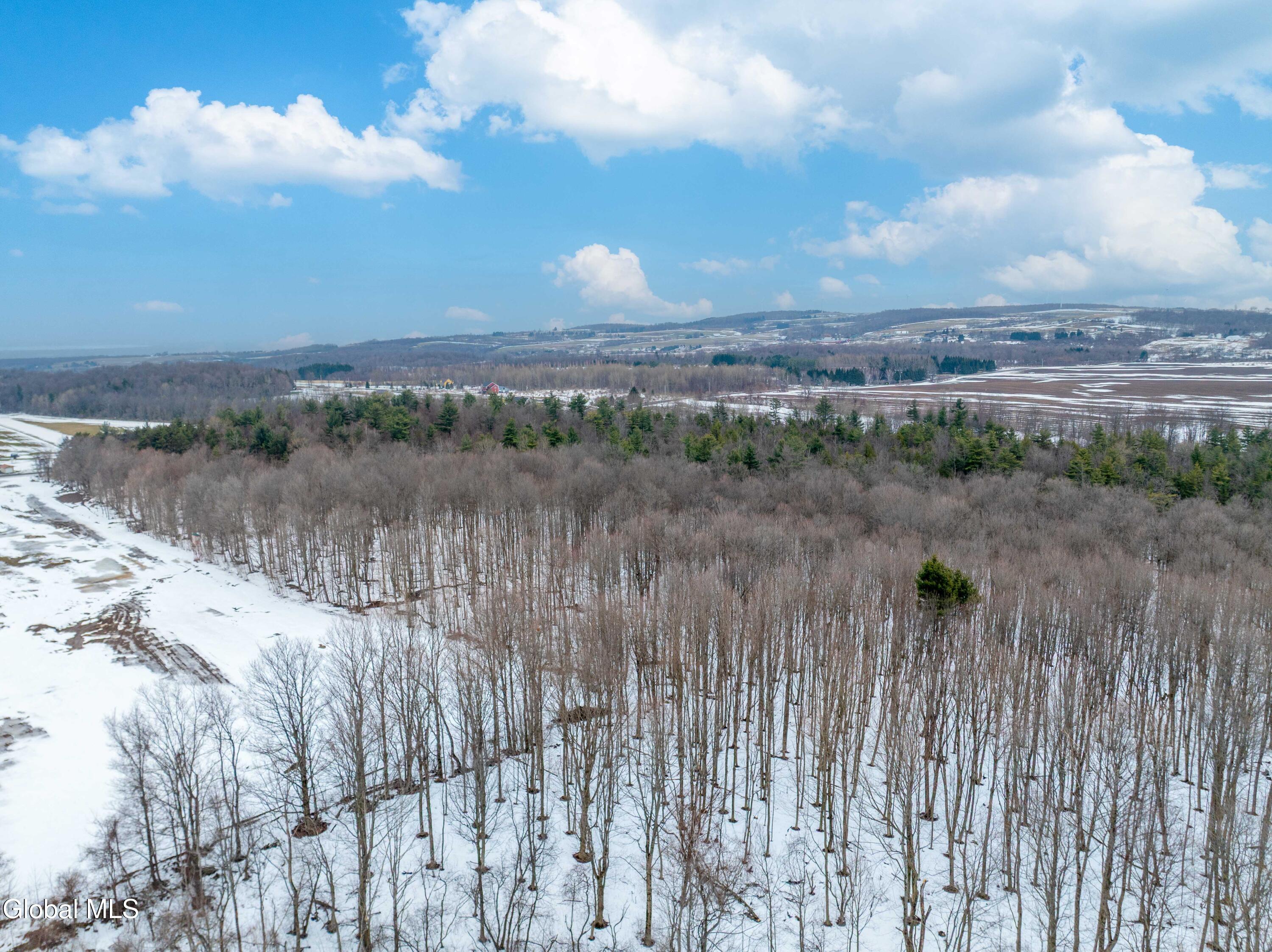 L1 Bear Swamp Road Chittenango, NY 13037 - Photo 35 of 41 Bear Swamp Road, Cazenovia-7