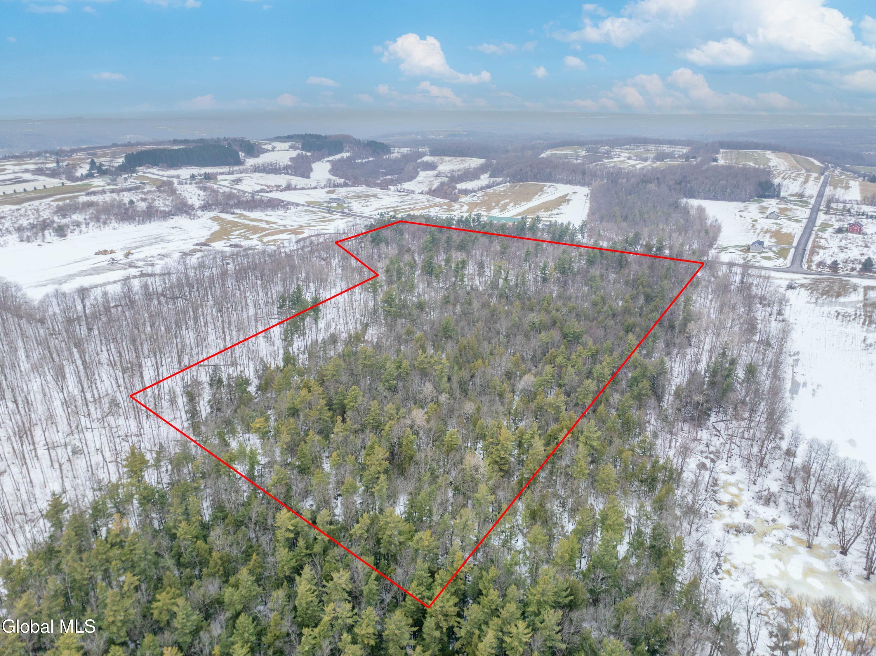 L1 Bear Swamp Road Chittenango, NY 13037 - Photo 4 of 41 01. Red Property Line Bear Swamp Road, C