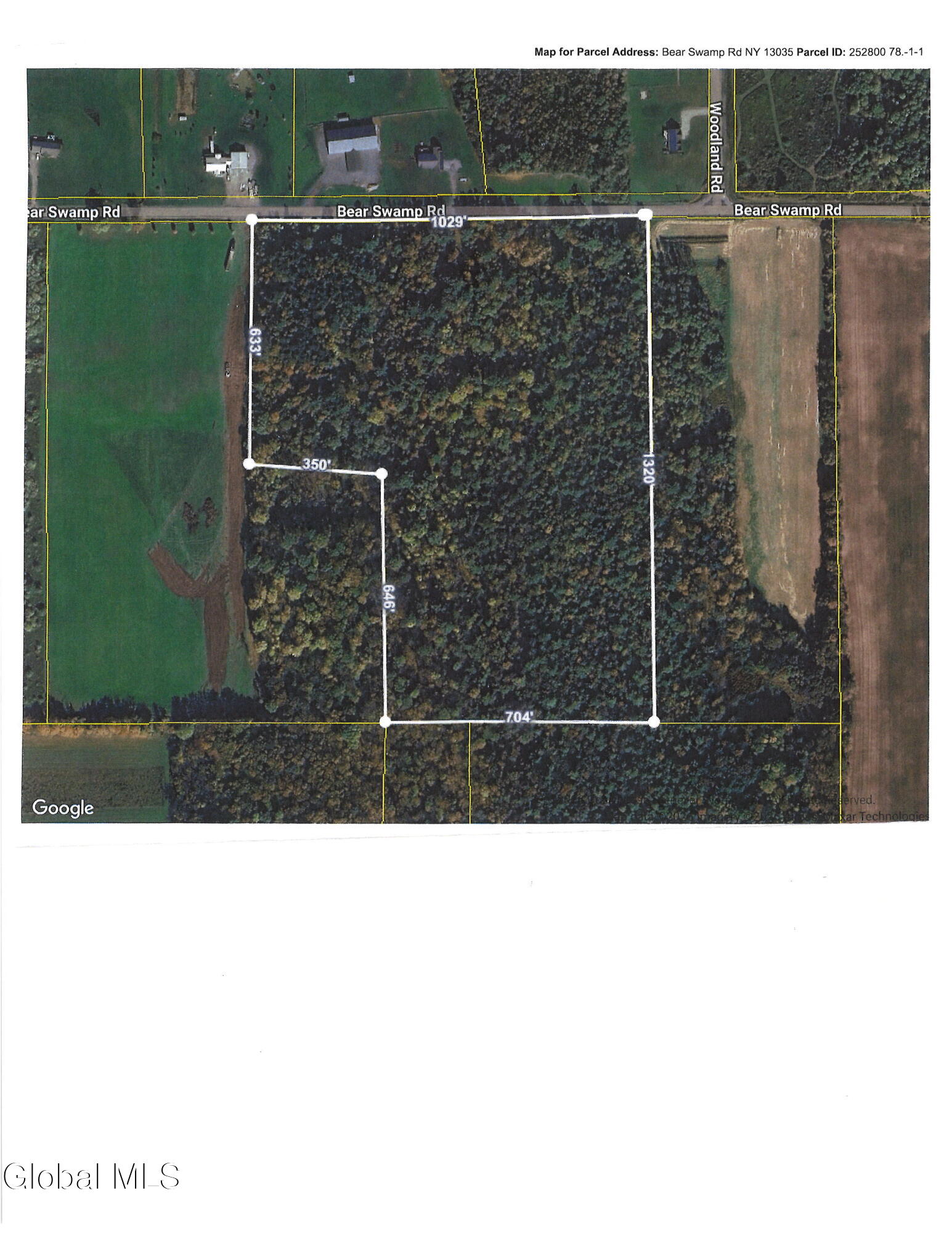 L1 Bear Swamp Road Chittenango, NY 13037 - Photo 41 of 41 20260119111529_00001