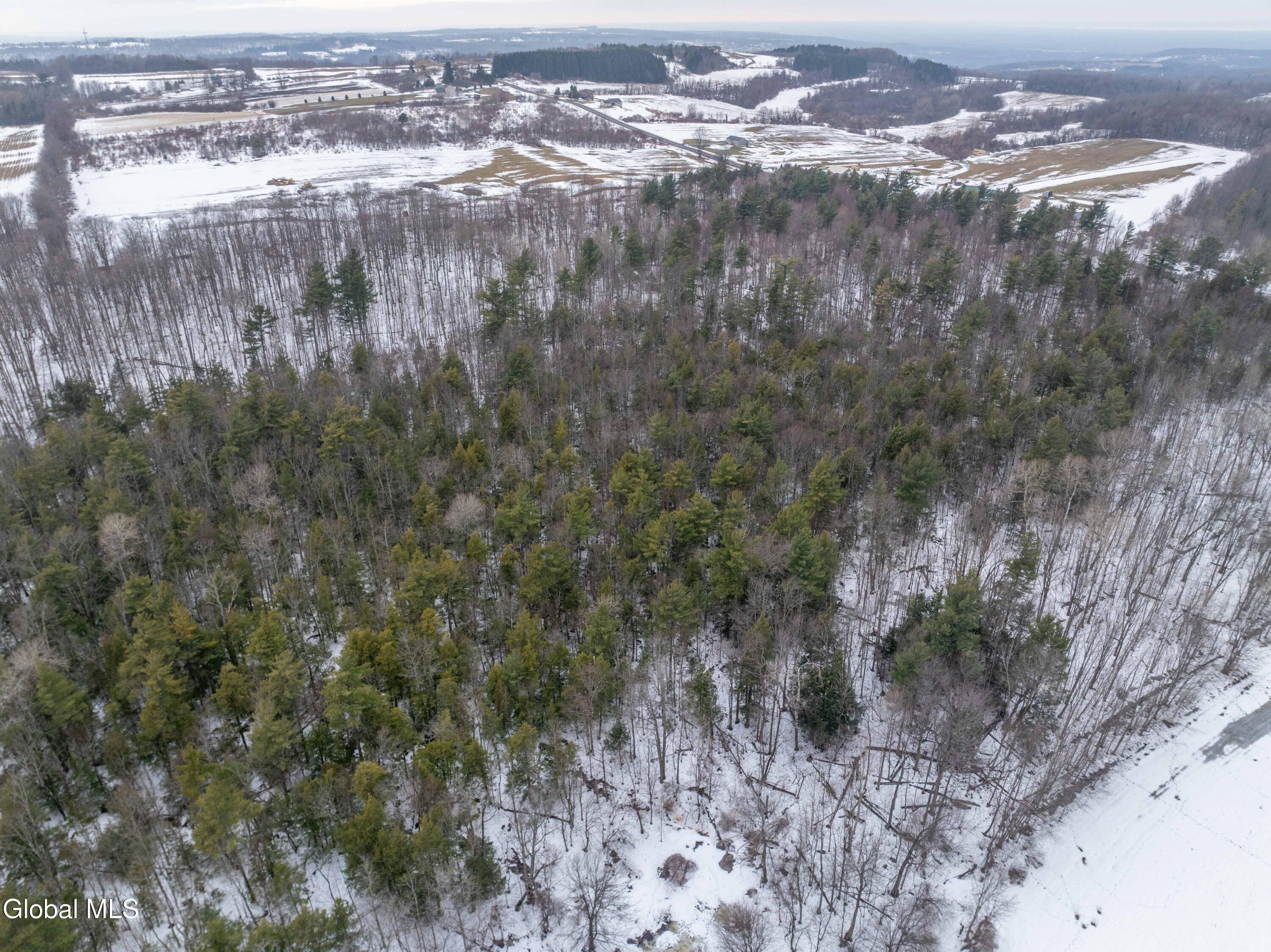 L1 Bear Swamp Road Chittenango, NY 13037 - Photo 8 of 41 Bear Swamp Road, Cazenovia-34