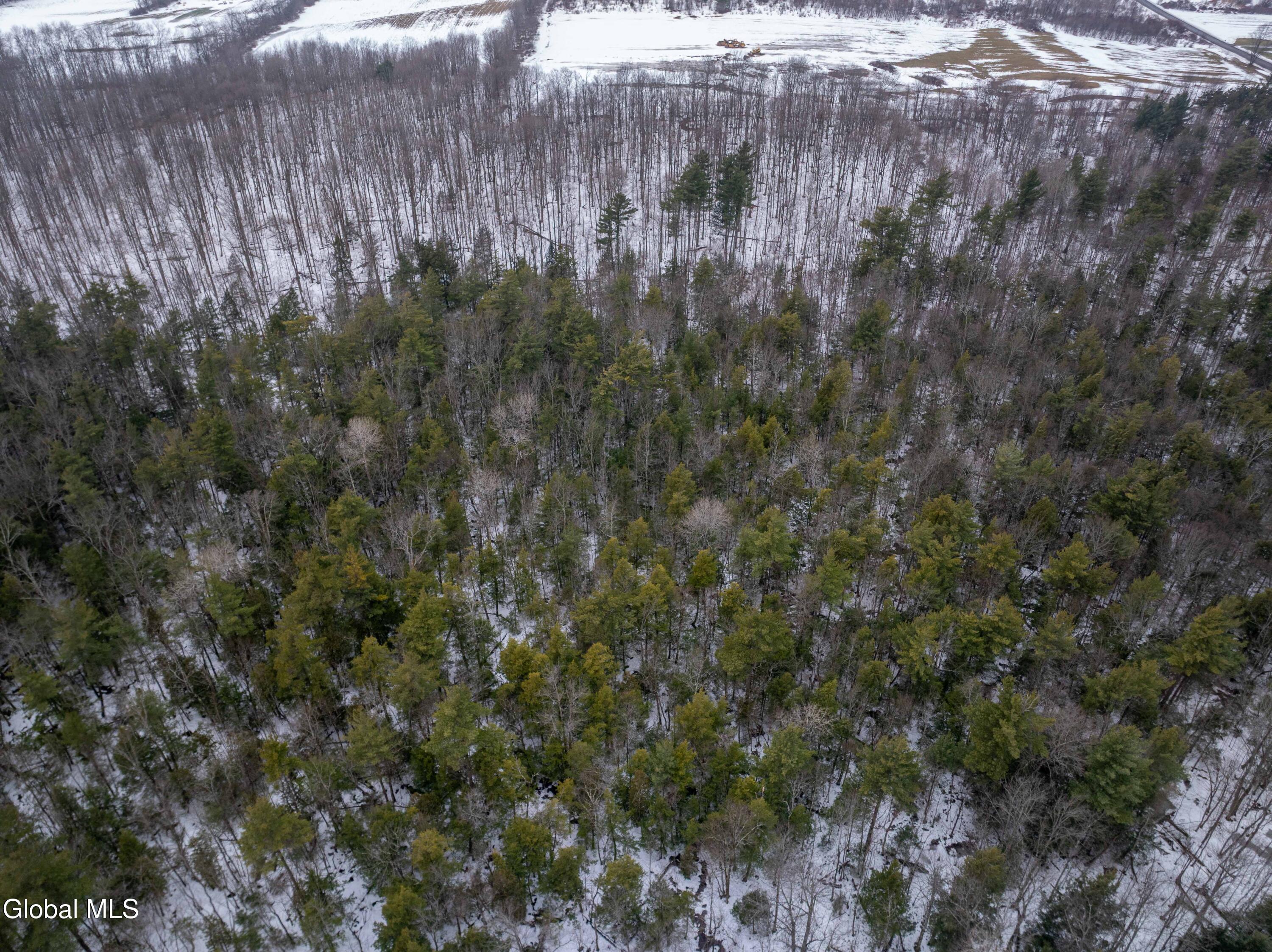 L1 Bear Swamp Road Chittenango, NY 13037 - Photo 10 of 41 Bear Swamp Road, Cazenovia-32